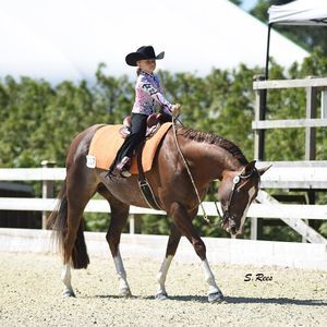 Meet your Posher, Carrie